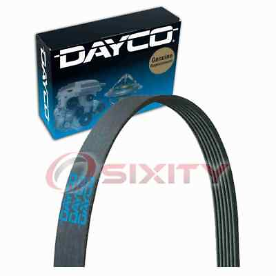 #ad Dayco Main Drive Serpentine Belt for 1992 2003 Dodge Dakota 3.9L 5.2L 5.9L ya $42.51