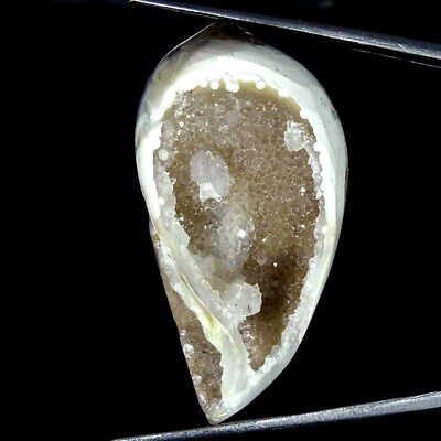 #ad 75.70Cts Natural Fossil Snail Druzy Agate Loose Gemstone $8.99