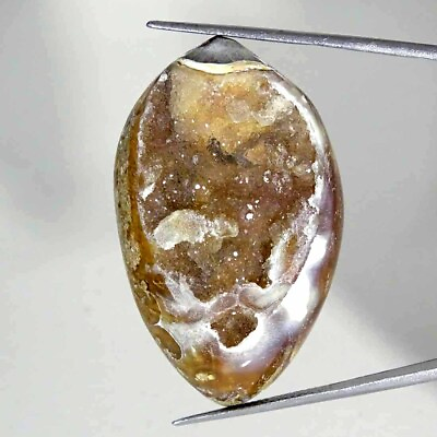#ad 102.80Cts Fossil Snail Druzy Agate Natural Loose Gemstone 26x43x15mm $12.99