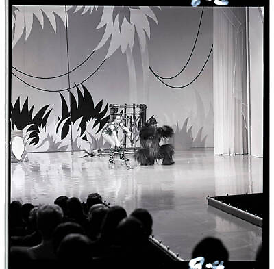 #ad The Norbu Novelty Gorilla Act On Hollywood Palace 1964 OLD TV PHOTO 6 AU $8.50