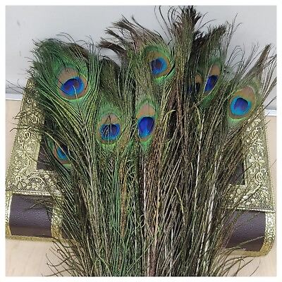 #ad Natural Peacock Feather 15quot; inch Big Tail Eyes Feathers Wedding Home Decor $35.99