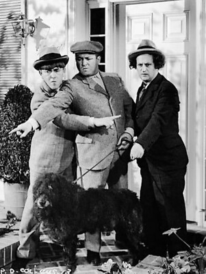 #ad The Three Stooges 8x10 Photo $8.99