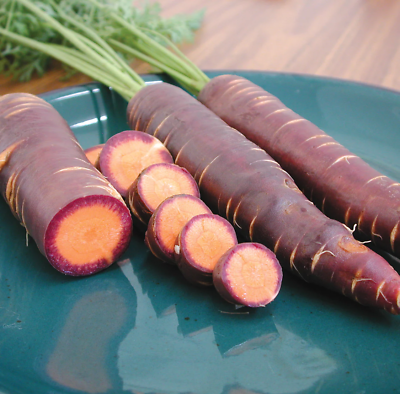 #ad 100 Purple Dragon Carrot Seeds Heirloom Organic Non Gmo RARE $2.88