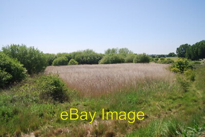 #ad Photo 6x4 Marshy area by the Saxon Shore Way Lower Halstow c2010 GBP 2.00