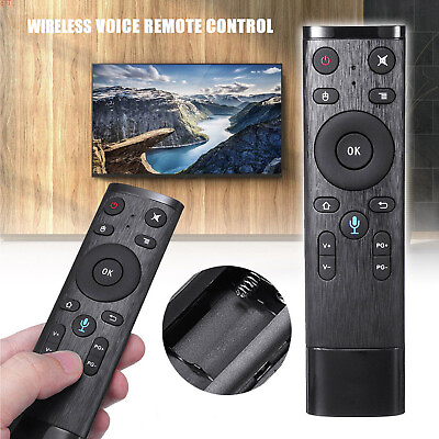 #ad 2.4GHz USB Remote Control with Voice Control for Smart TV HTPC PC Projector Q2N1 $12.99