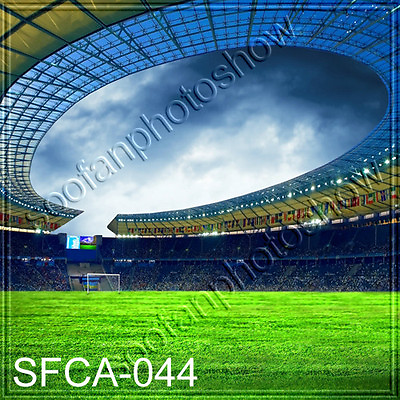#ad Sports 10#x27;x10#x27; Computer painted Outdoor Scenic background backdrop SFCA 044B881 $49.99