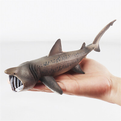 #ad Basking Shark Marine Model Animal Shark Collector Scene Decor Gift Accessories $10.98