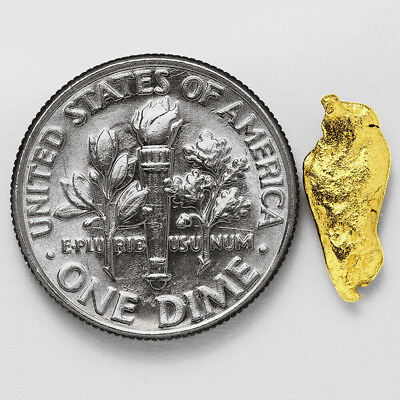 #ad 0.6947 Gram Alaska Natural Gold Nugget #72655 Alaskan Gold Nugget $72.00