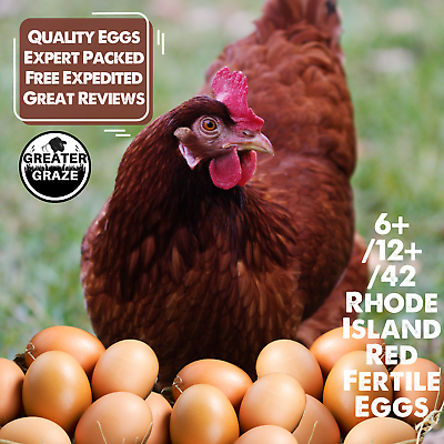 #ad #ad 6 12 42 Rhode Island Red Hatching Eggs: Fresh Fertile Unmixed Free Range $29.98