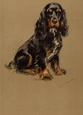 #ad RARE Vintage Colour DOG Print Lucy Dawson 1946 SPANIEL GBP 13.50