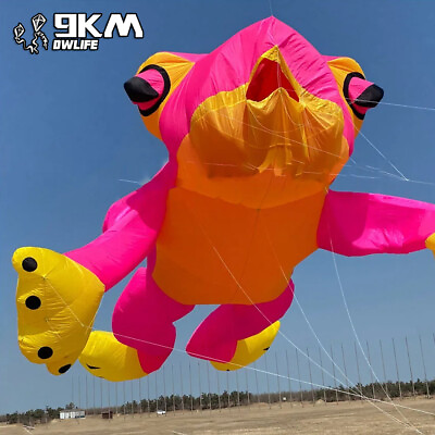 #ad 5m Frog Kite Soft Inflatable Line Laundry Kite 30D Ripstop Nylon Kite with bag $735.00