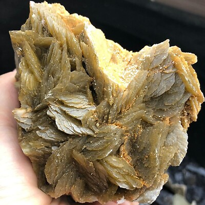 #ad 538g Natural Bright Yellow Multilayer Siderite Crystal Cluster Mineral $58.65