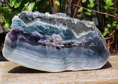 #ad Large Rough Raw Polished Face Fluorite Crystal 682 Grams Purple Green 120mm Long AU $150.00