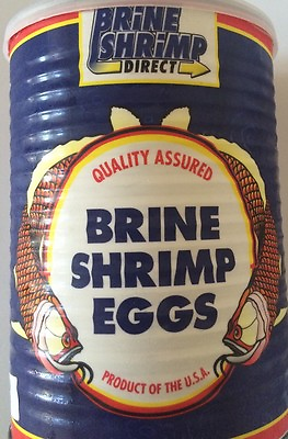 #ad Baby Brine Shrimp Eggs Artemia Cysts 90% Hatch Rate 01 oz 2 oz 16 oz Betta $7.49
