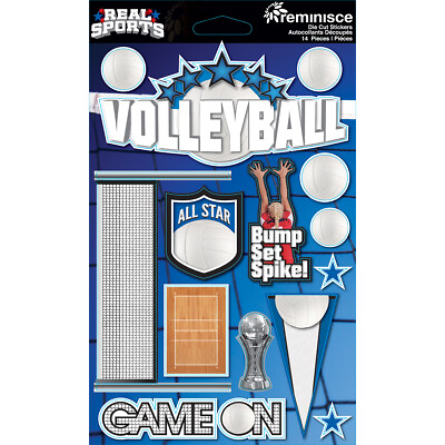 #ad Reminisce Real Sports Dimensional Cardstock Stickers Volleyball 3Pk $13.07