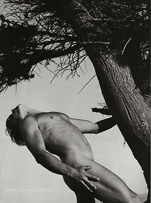 #ad 1989 Vintage BRUCE WEBER Male Nude Model PAUL California Duotone Photo Art 16X20 $238.32