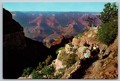 #ad Postcard AZ Grand Canyon National Park Bright Angel Trail Fred Harvey Vtg 4x6 $4.64