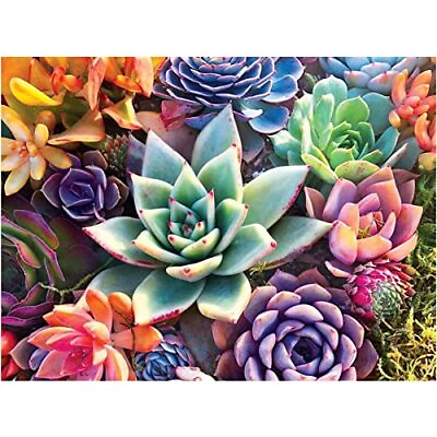 #ad 5D Painting by Number Kits for Adults Kids Succulent Full Round Drill DIY Dia... $13.82