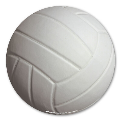 #ad Volleyball 3D Magnet $3.49