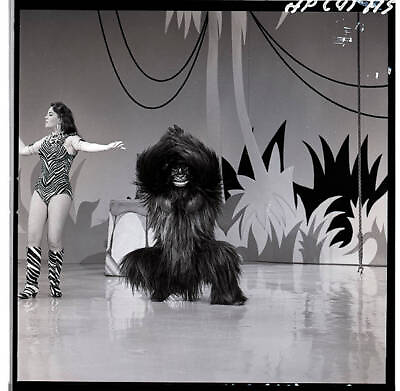 #ad The Norbu Novelty Gorilla Act On Hollywood Palace 1964 OLD TV PHOTO 7 AU $8.50