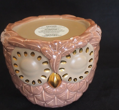 #ad Bath amp; Body Works Brown Ceramic OWL Single Wick Candle Holder Fall Autumn NEW $16.00