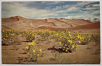 #ad Great Sand Dunes National Monument Postcard Alamosa Colorado Unposted Chrome $4.99