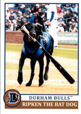 #ad 2023 Durham Bulls Choice #41 Ripken the Bat Dog Black Lab NM Baseball Card $15.00