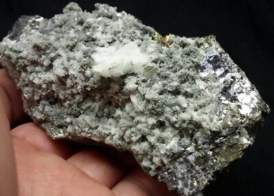 #ad 295g Natural 4quot; GALENA with PYRITE and CALCITE from Chihuahua Mexico $37.80