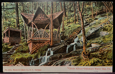 #ad Vintage Postcard 1907 quot;Childs Arborquot; Delaware Water Gap Pennsylvania PA $8.00