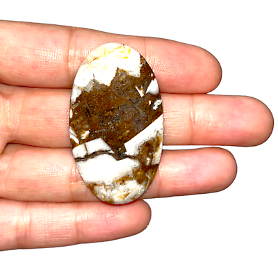 #ad Natural Wild Horse Loose Gemstone Classic Top Grade Quality Wild Horse Cabochon $8.00
