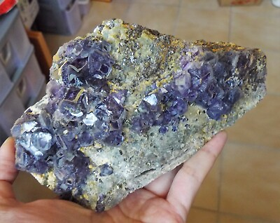 #ad Large Purple Fluorite Pyrite Matrix Crystal Stone Cluster Rock Mineral Specimen $229.00