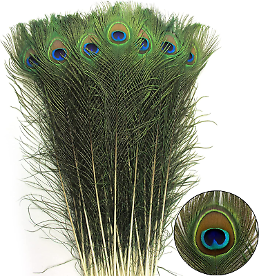 #ad 24Pcs Peacock Feathers Long Natural in Bulk 32 35 Inch 80 90 Cm $16.99