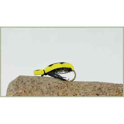 #ad Beetles Trout Flies 6 Pack Yellow Ladies Size 10 Foam Trout Flies summer GBP 5.25