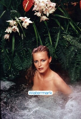 #ad CHERYL LADD is Sexy in Hawaii ** HI RES PRO ARCHIVAL PHOTO 8.5quot;x11quot; $24.50
