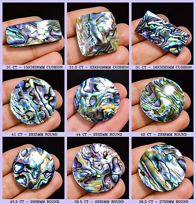 #ad Natural Abalone Shell Gemstone Loose Cabochon From New Zealand $6.99
