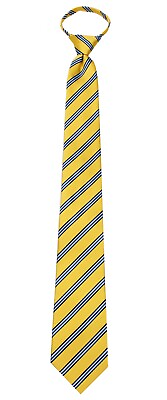 #ad Boy#x27;s 14 Inch Gold Stripe Pretied Zipper Necktie $12.95