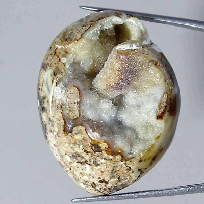 #ad 122.10Cts Natural Fossil Snail Druzy Agate Loose Gemstone $13.99