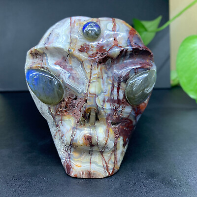 #ad 1pc Natural Crazy Agate Quartz Carved Crystal Energy Skull Reiki Gem Decor $189.05
