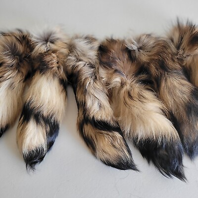 #ad Finn Raccoon Tail Keychain Coon Tails Real Genuine Large On Chain 14 16 Inch $16.95