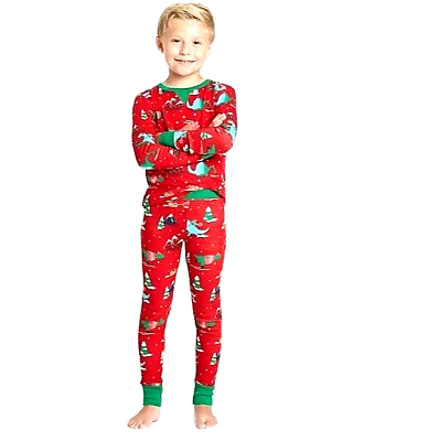 #ad NEW Kids#x27; Holiday Dino Print Matching Family Pajama Set Wondershop $13.99
