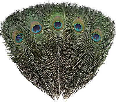 #ad 12 PCS Real Natural Peacock Eye Feathers 10 12 Inch for DIY Craft Wedding and H $8.37