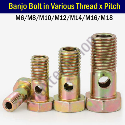 #ad Banjo Bolt M6 M8 M10 M12 M14 M16 M18 Metric Thread BSPP BSP G Brake Fitting Fuel $2.11