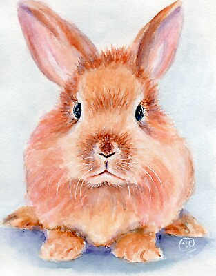 #ad Original Watercolor Painting Bunny Portrait Rabbit Handmade Artwork 11x8quot; $75.00
