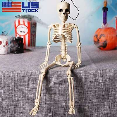 #ad 16in Halloween Skeleton Oversized Poseable Human Full Life Size Party Decor Prop $7.35