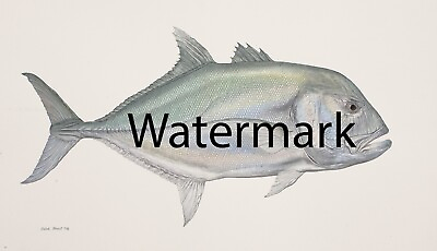 #ad WORLD RECORD GIANT TREVALLY 17quot; x 30quot; Sporting Art Fishing PRINT REPRODUCTION $29.99