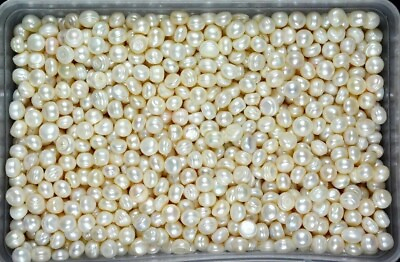 #ad Natural 100 Ct. Australian White Pearl Loose Gemstone Lot Round Cut Certified $32.75