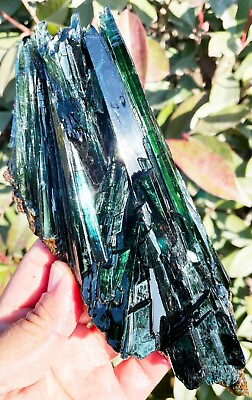 #ad 480g Gemmy Natural Transparent Green Vivianite Crystal Specimen Brazil ie3000 $1125.00