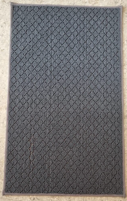 #ad DOOR MAT WITH WATER ABSORB HIGH CAPACITY 20X30 INCHES $18.70