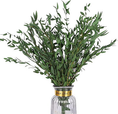 #ad Real Eucalyptus Stems Greenery Decor 20PCS 16quot; Dried Willow Eucalyptus Plant Pre $26.53