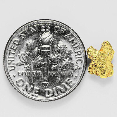 #ad 0.6555 Gram Alaska Natural Gold Nugget #29688 Alaskan Gold Nugget $59.00
